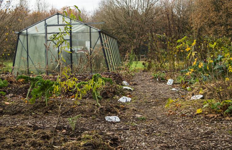 overnachten in drenthe - Sustainaway Drouwen 2