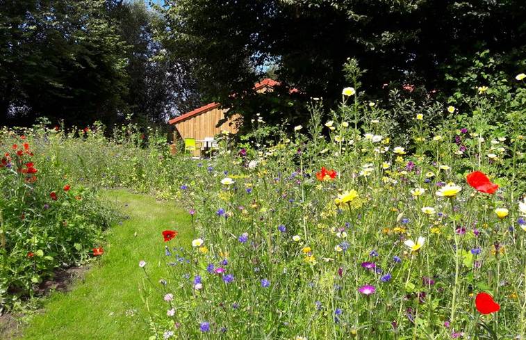 vakantie groningen - Sustainaway Molenrij 1