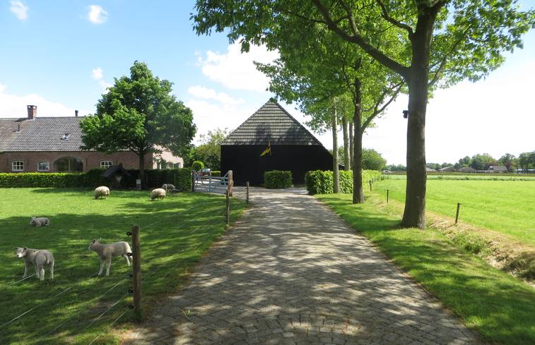 Oisterwijk 1