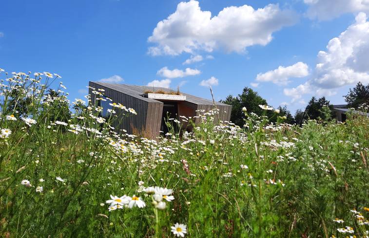 Spending the night in Friesland - Sustainaway Westergeest 1