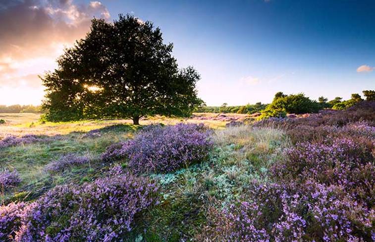 Overnachten in Overijssel - Sustainaway bak 5
