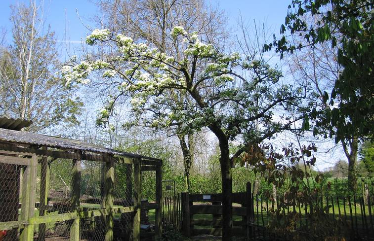 Overnachten in Overijssel - Sustainaway balk 3