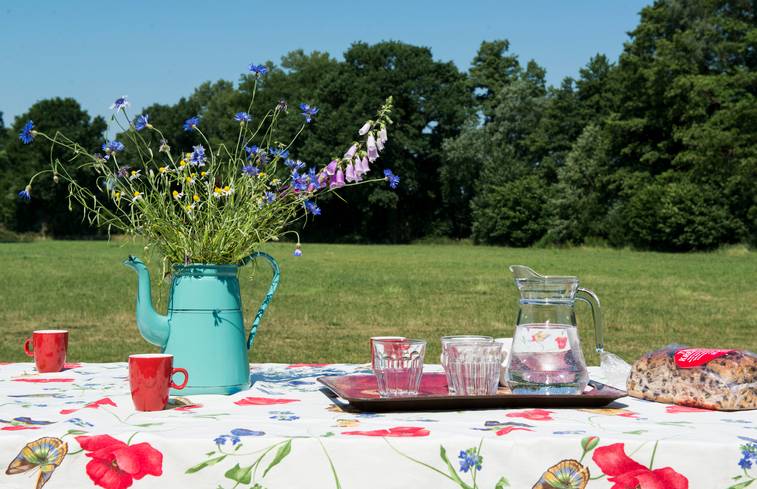 vakantie overijssel - Sustainaway mander 3