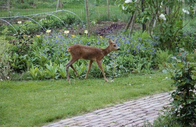 Overnachten in Overijssel - Sustainaway mark 3