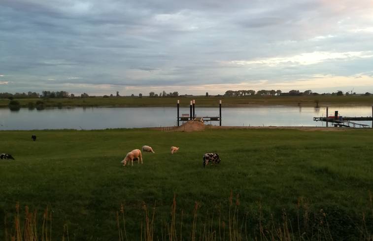 vakantie gelderland - Sustainaway well 4