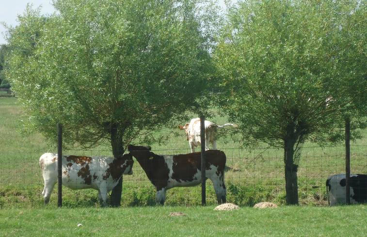 Overnachten in Overijssel - Sustainaway zwolle 3