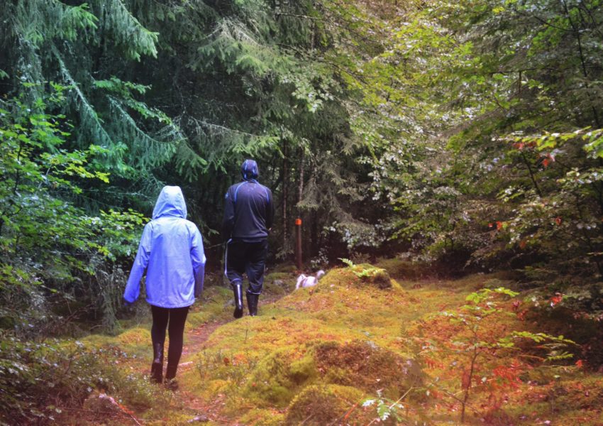 hiking app