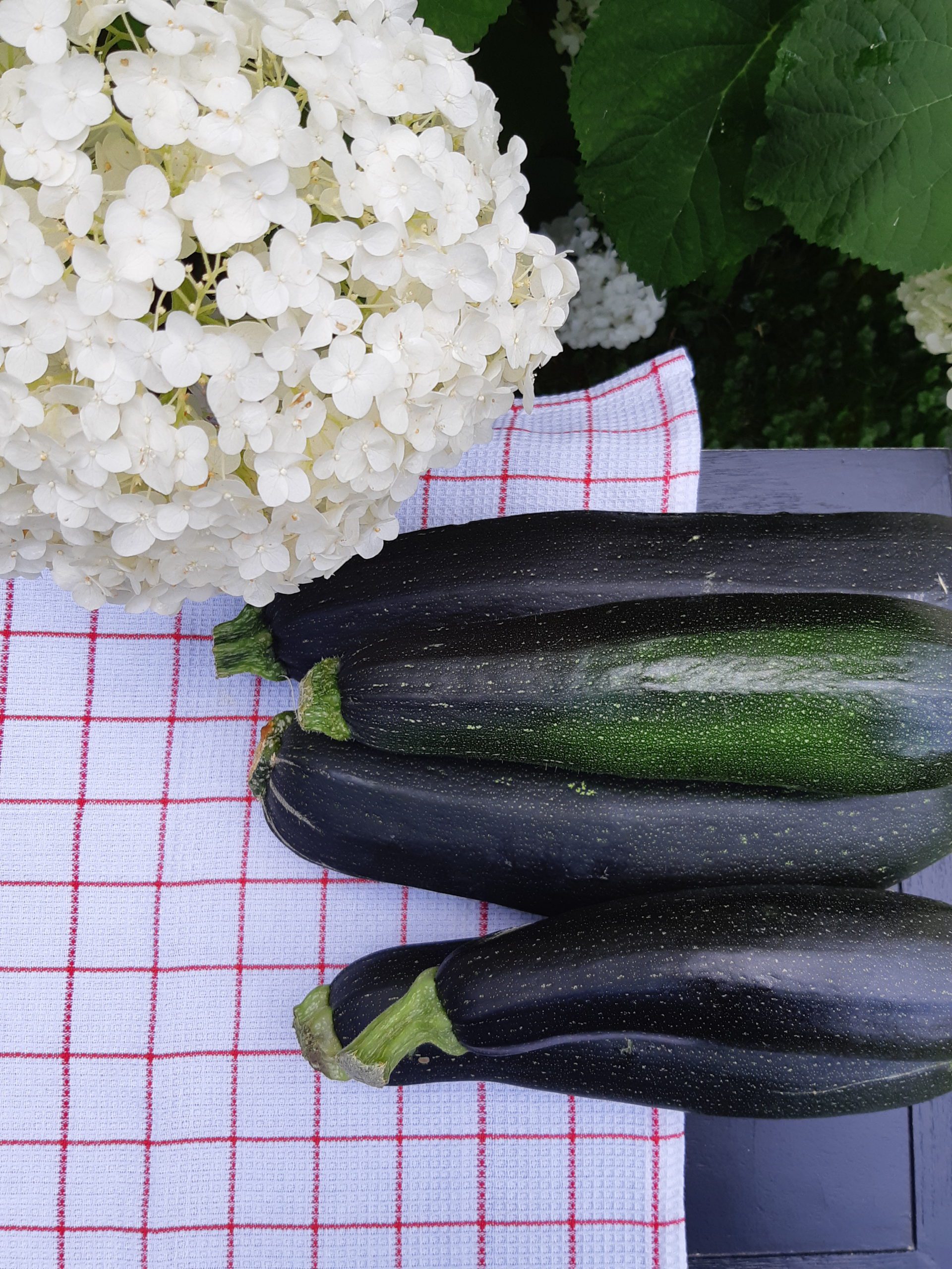 moestuin water geven vakantie - Sustainaway moestuin water geven vakantie