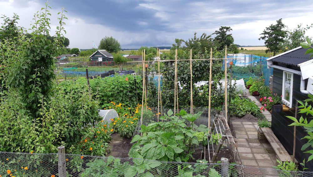 moestuin water geven vakantie - Sustainaway moestuin water geven vakantie