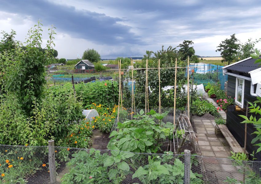 moestuin water geven vakantie