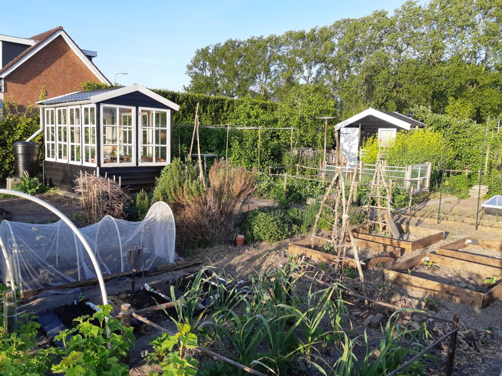 moestuin water geven vakantie - Sustainaway moestuin kas water geven vakantie