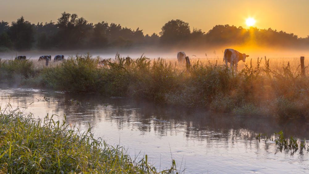 wandelroutes Twente - Sustainaway wandelroutes twente